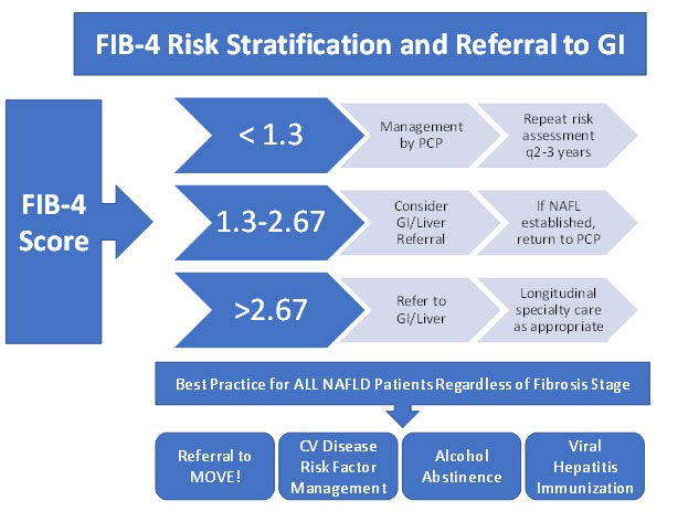 Figure 2: FIB-4 Risk Stratification and Referral to GI