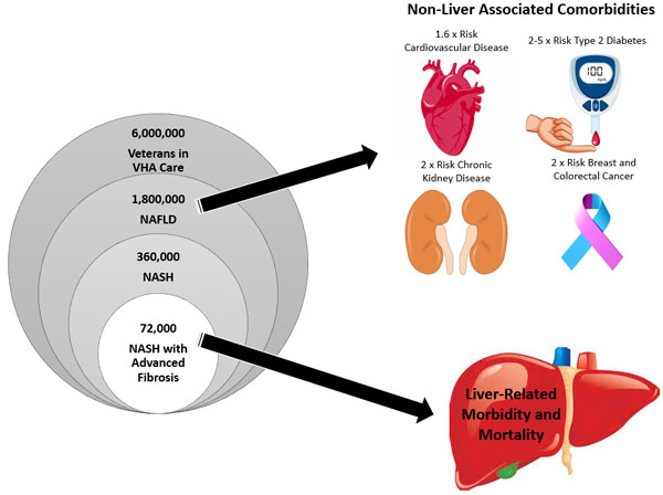 Figure 1:� Estimated prevalence of NAFLD in VA, and increased risk of comorbidities among patients with NAFLD. (Veterans in care is estimated from VA data). Figure source: VA NAFLD Considerations