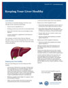 image of Liver Health factsheet
